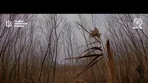 Raid de 27 km în spatele liniilor rusești, lângă Kahovka