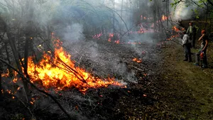 Incendiu la o cabană din pădurea Snagov. Cabana aparţine RA-APPS