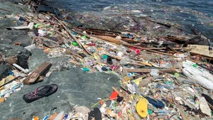 Plasticul a „invadat” plajele din Africa de Sud: Tone de gunoaie au fost aduse la ţărm de apele Oceanului Indian. VIDEO