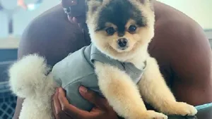 Surpriza de GROAZĂ pentru un fost atacant de la Liverpool, după ce hoţii i-au spart locuinţa: ”Oricine ştie cine a intrat în casa mea, voi plăti oricât” | FOTO, VIDEO