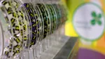 Extrageri Loto 6/49, Noroc, Joker, Noroc Plus, Loto 5/40 și Super Noroc duminică, 16 martie. Premii de milioane de euro