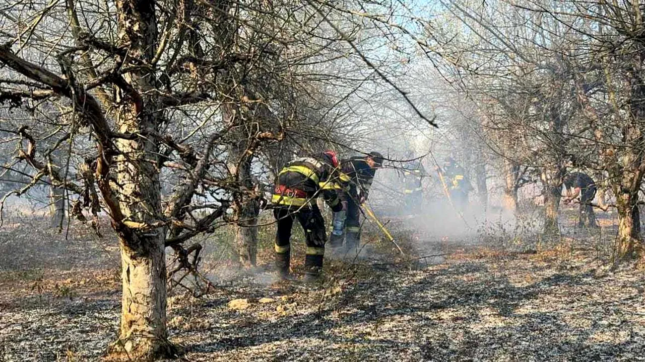 Maramureş: Pompierii intervin pentru localizarea unui focar, alte două sunt în curs de lichidare
