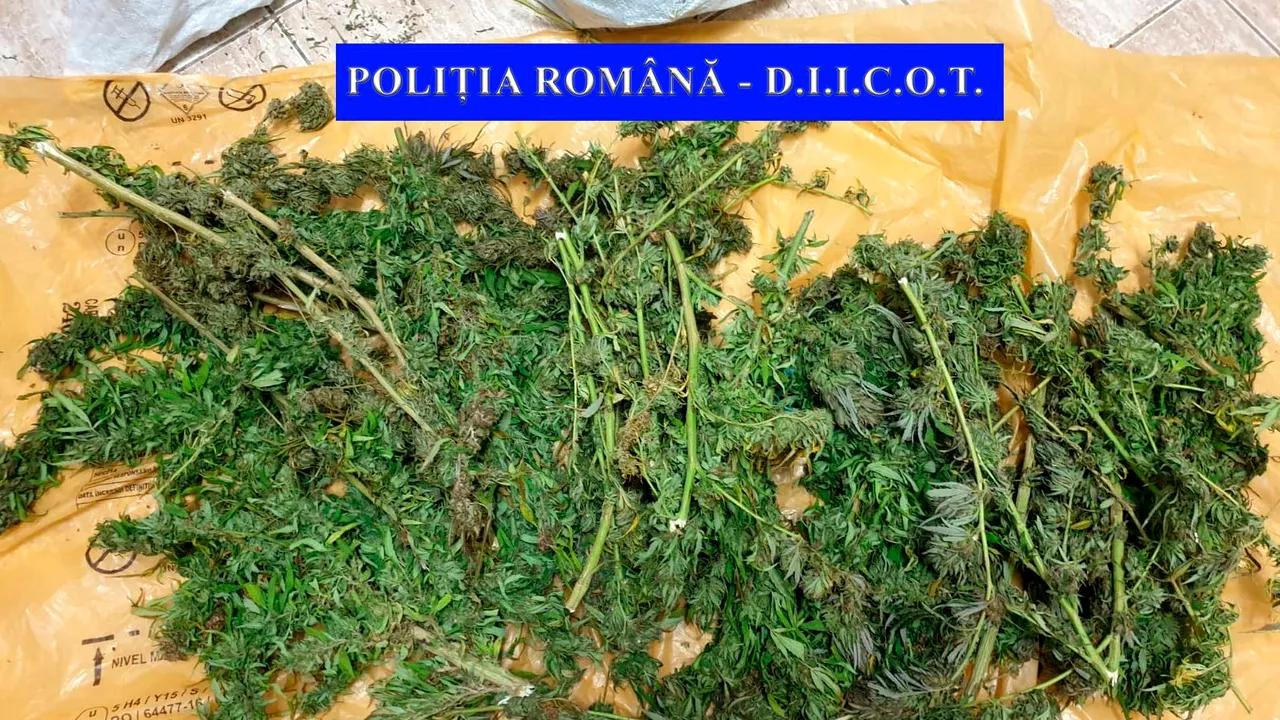 Un bărbat a fost prins în timp ce încerca să aducă în ţară 8 kilograme de canabis cu autocarul