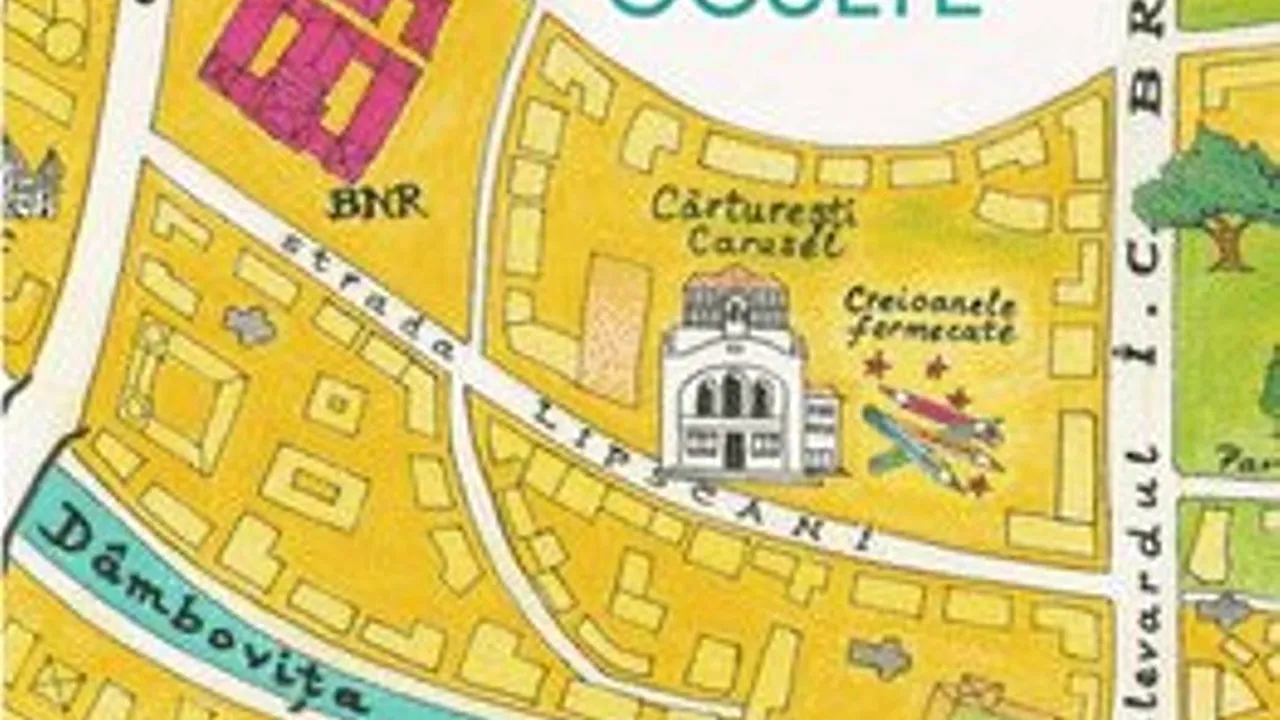 O carte pe zi: „Paturi oculte” de Doina Ruşti