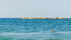  Descoperire uimitoare în Marea Neagră. O specie rară din Pacific a fost găsită pe malul mării noastre. Explicaţiile specialiştilor