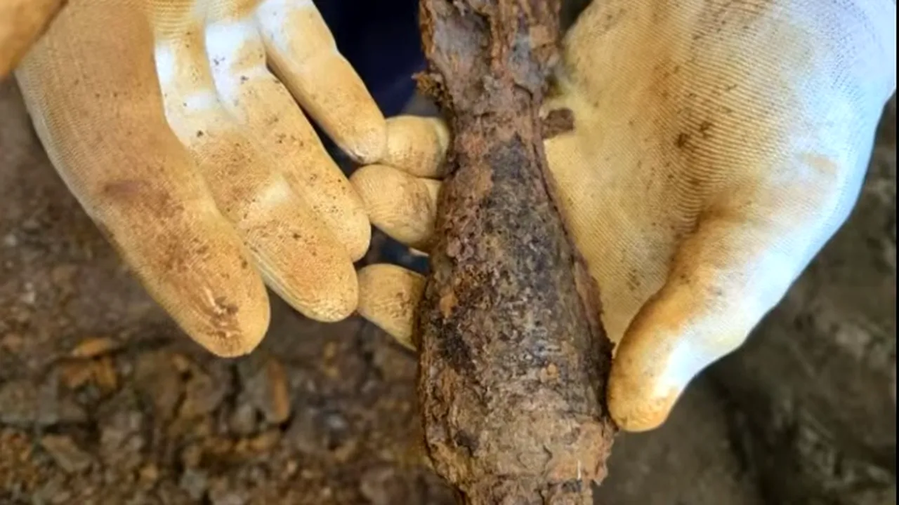 Depozit cu 600 de bombe, 70 de cartușe și 3 proiectile, descoperit in Argeș cu ajutorul detectorului de metale