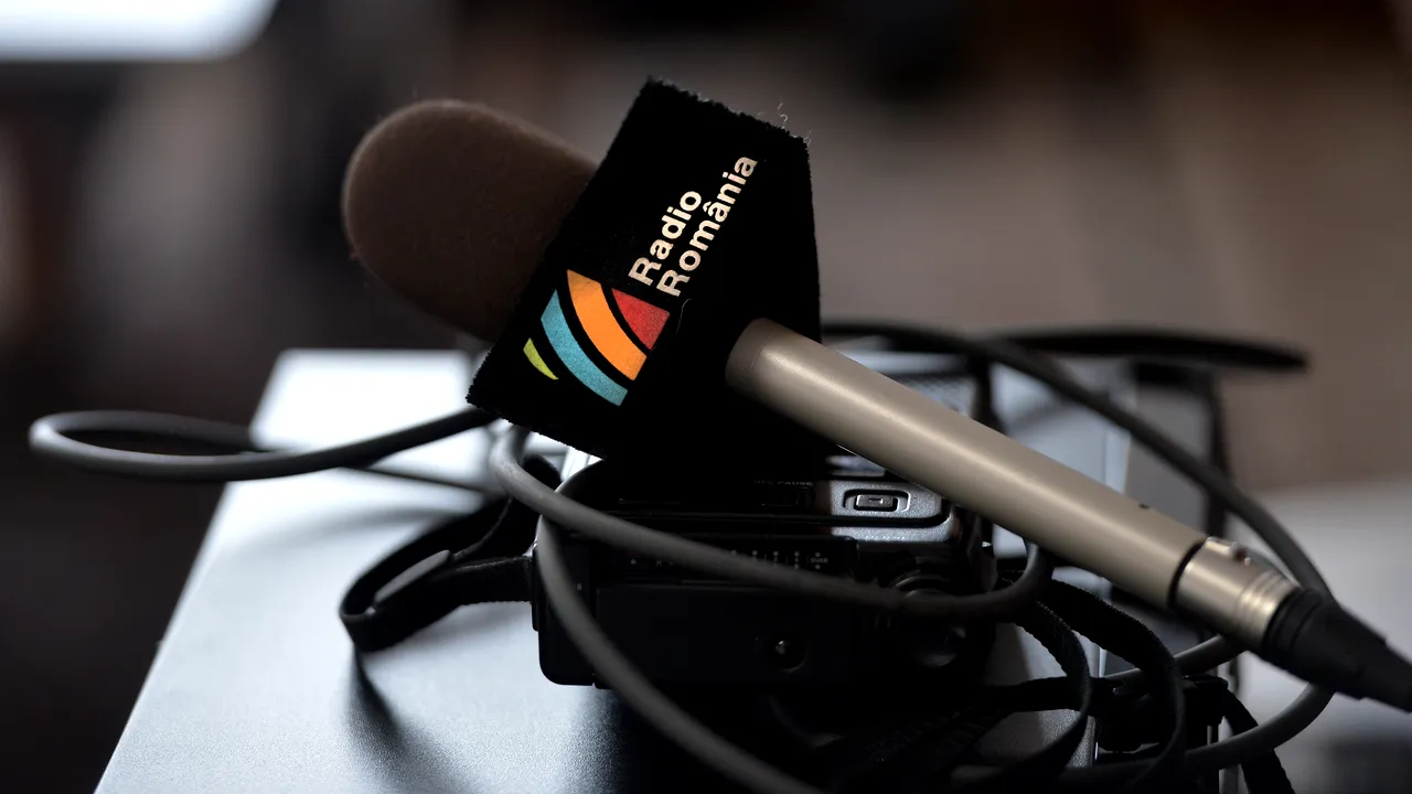 Senatul a adoptat proiectul pentru instituirea pe1 noiembrie a Zilei Naţionale a Radioului