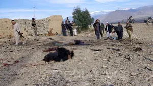 Creştere record a numărului de victime civile în Afganistan în 2014: 3.699 de morţi şi 6.849 de răniţi