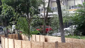 Şeful Spitalului Craiova a început să amenajeze în curtea unităţii un bazin cu peşti. Consiliul Judeţean l-a oprit | FOTO