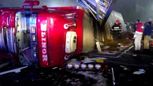 TIR cu 190 de porci, răsturnat pe un drum din Cluj. FOTO şi VIDEO