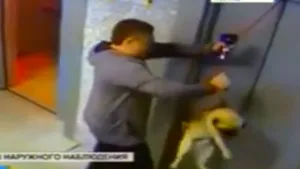 SALVARE miraculoasă: Cum a trecut pe lângă o tragedie un căţel norocos - VIDEO