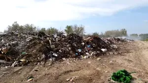 Anchetă după imaginile cu animale în descompunere pe câmp, în Ialomiţa. Berceanu: Suntem în Europa?