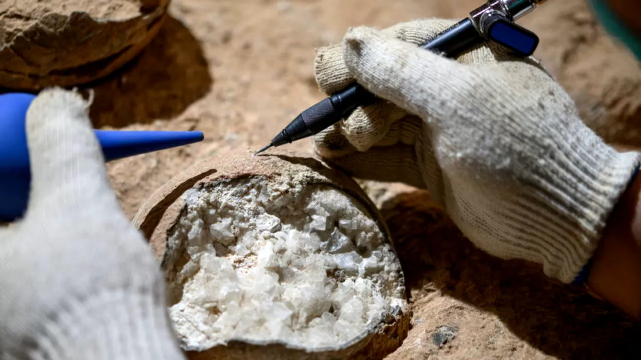 Ce vârstă au ouăle de dinozaur descoperite în China? Acestea au fost datate prin metoda „ceasului atomic”
