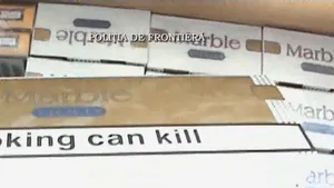 Poliţiştii de frontieră au pus sechestru asigurator pe ţigări de contrabandă de un milion de euro - VIDEO