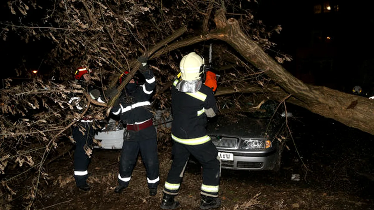 ISU Bucureşti-Ilfov: 34 de copaci căzuţi din cauza vântului puternic, 27 de maşini avariate 