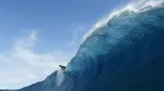 World Surf League, oprită după atacul unei creaturi marine misterioase în Noua Zeelandă
