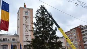 Ce a urmat după ce Primăria Bârlad le-a cerut localnicilor să doneze un brad de Crăciun oraşului