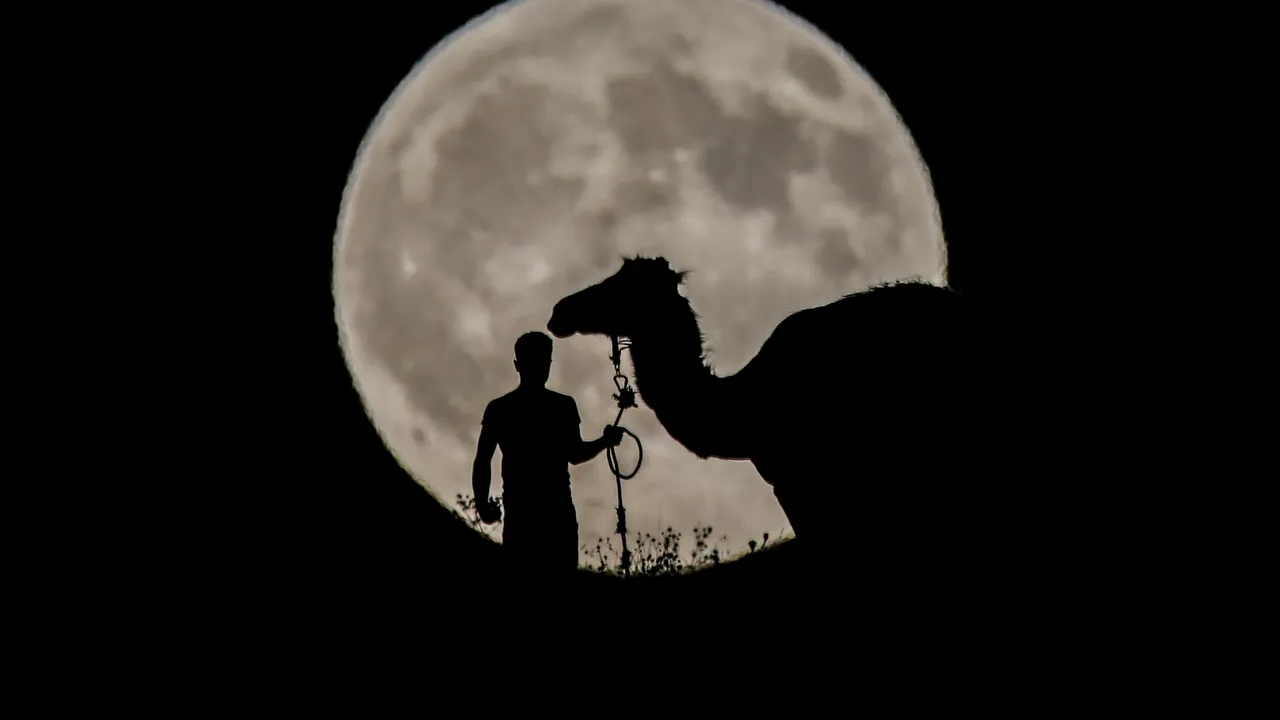 FOTO, VIDEO | Din Australia până în Franţa, România şi Turcia: Fotografii spectaculoase cu eclipsa parţială de lună