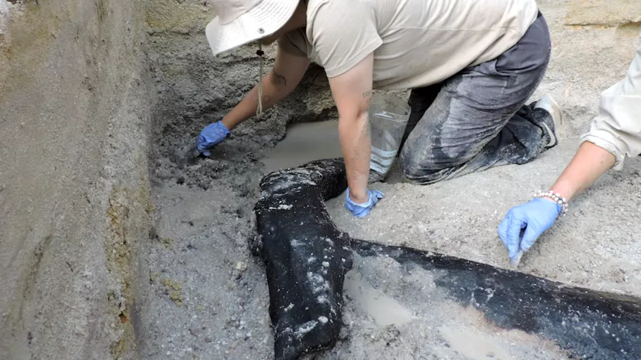 O structură din lemn veche de jumătate de milion de ani, descoperită în Africa