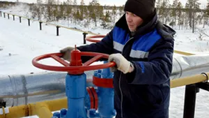 E.ON Gaz vrea o nouă creştere a preţurilor la gaze pentru populaţie