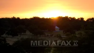 Un fost director de dezvoltare al GDF Suez în România a fost răpit împreună cu familia în Camerun