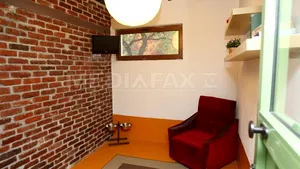 Un hotel pentru animale din Capitală oferă 