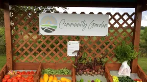 Un oraş mic, dar smart îşi creşte propriile legume şi fructe, iar oamenii le pot culege gratis FOTO VIDEO