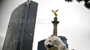 Summitul Rio+20: Plan pentru dezvoltarea ecologică şi rezolvarea problemelor planetei