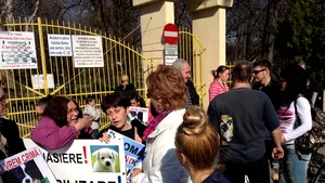 PROTESTE faţă de eutanasierea câinilor organizate în mai multe oraşe din ţară