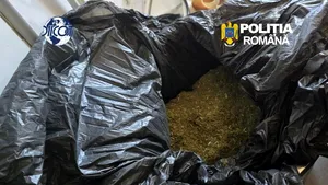 Rețea de trafic de droguri, coordonată din penitenciar, destructurată. Șase persoane, arestate preventiv