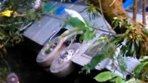 Accident grav în Brazilia: Cel puţin 40 de oameni au murit după ce un autobuz a căzut într-o prăpastie - VIDEO