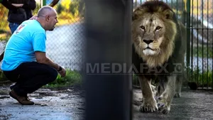 Imagini VIDEO de la ZOO Băneasa: Ceai, fructe, aer condiţionat şi cuburi de gheaţă pentru a răcori animalele