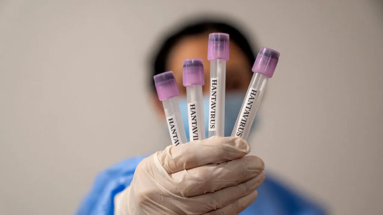 Hantavirus: Nou caz confirmat la un membru al echipajului repatriat în Olanda