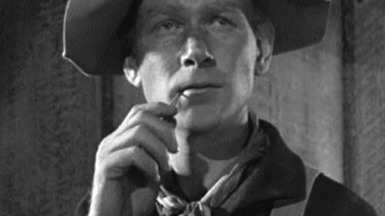 Actorul de filme western Harry Carey Jr. a murit la vârsta de 91 de ani