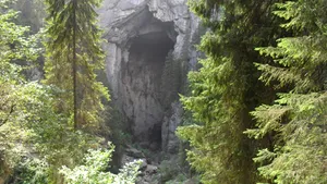 Turist mort în zona Padiş, după ce a căzut de la o înălţime de aproximativ 100 de metri