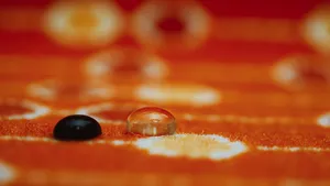 A izbucnit o epidemie mai gravă decât COVID-19. Ţara care a confirmat 12 decese