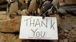 O celebră grădină zoologică se închide. Ce se va întâmpla cu animalele