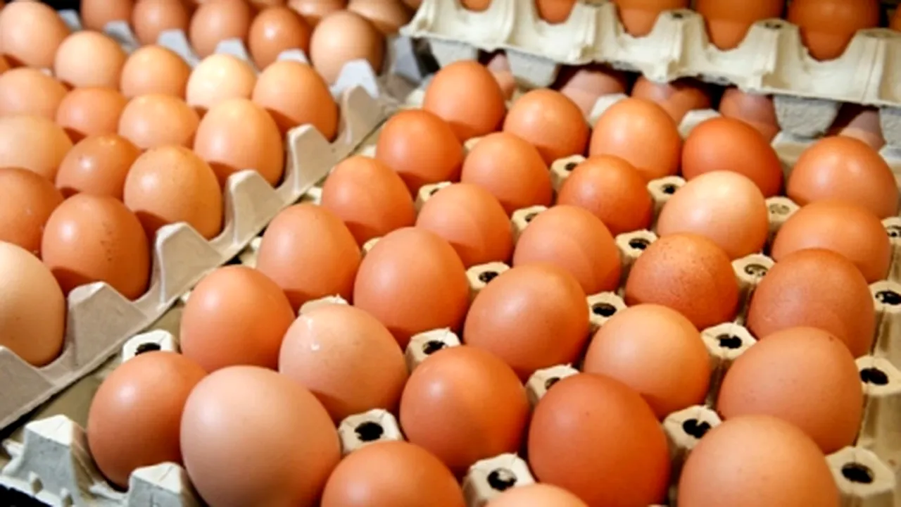 Ouăle revin în meniu. Un nou studiu demonstrează că nu există legătură cu obezitatea în cazul unui consum moderat