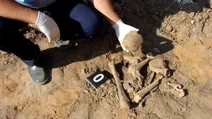 Mai multe oseminte, descoperite în timpul unor excavări într-o parcare din oraşul Strehaia - FOTO