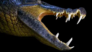 Fosilele unor specii necunoscute de crocodili, descoperite în Sahara - GALERIE FOTO