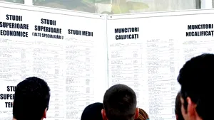 Peste 5.300 de locuri de muncă vacante în perioada 27 decembrie 2012 - 2 ianuarie 2013