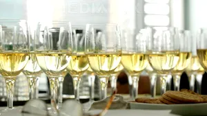 Regulile de etichetă în timpurile moderne: Ce n-o să-ţi spună gazda la o petrecere