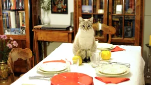 Şase filme, printre care 