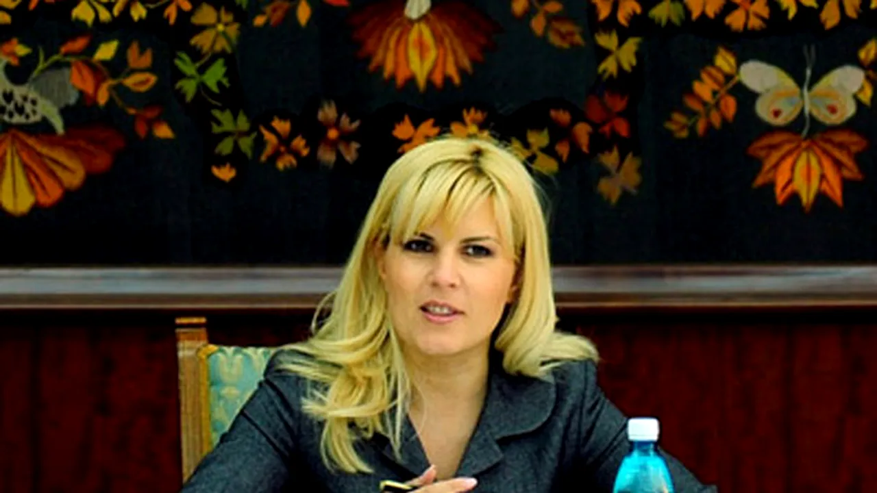 Udrea: Privatizarea turismului s-a făcut prost, statul a început să sprijine sectorul abia în 2009