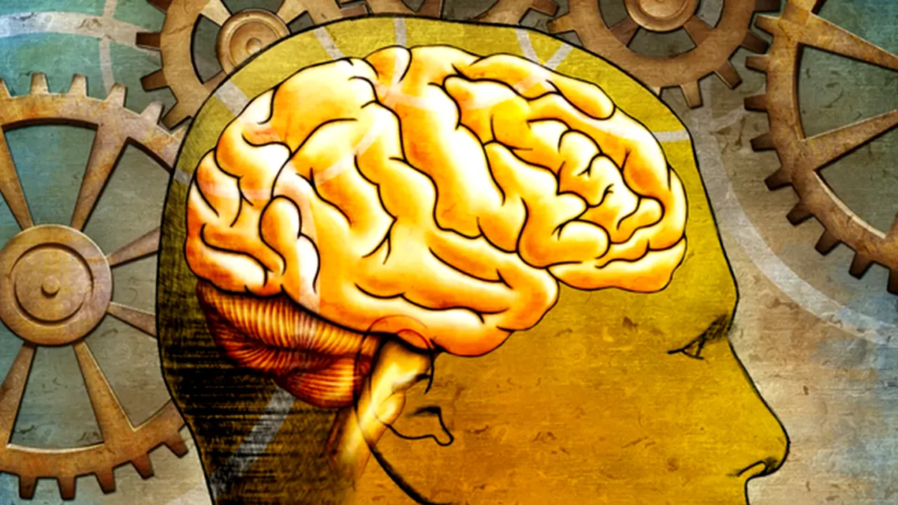 Puterea cărților și 5 titluri care îți pot schimba viața complet! Recomandările lui Andrew Ng (co-fondator Google Brain)