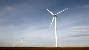 Turbinele eoliene offshore din Olanda au fost oprite pentru a ajuta păsările migratoare