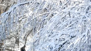 Cum va fi VREMEA până pe 18 ianuarie. Prognoza meteo pentru fiecare regiune a ţării