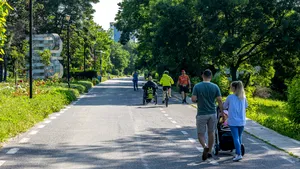 Buzoianu, despre faleza din Galați: Sute de arbori, vizați de tăiere. Primăria să asculte oameni