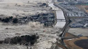 Materiale provenind din Japonia continuă să fie aduse pe coastele SUA la patru ani după tsunami