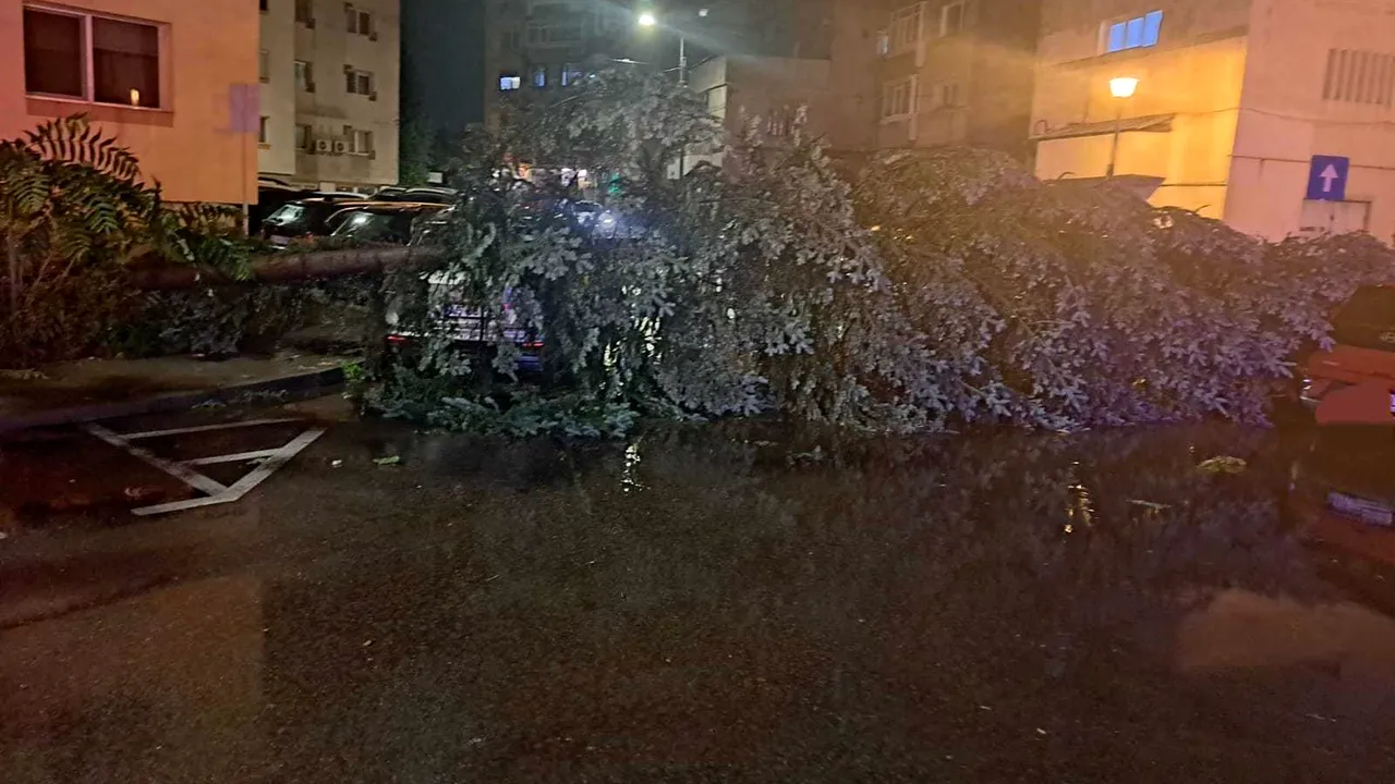 Cod portocaliu de ploi în Argeş. Inundaţii şi copaci căzuţi